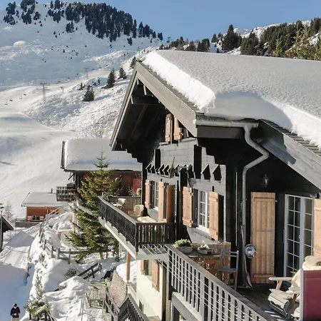 Bachteln Dağ evi Riederalp